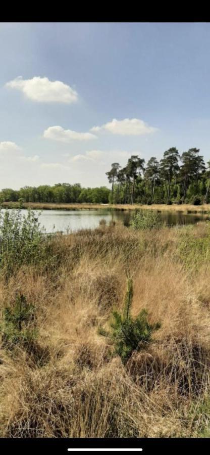Safarihuisje Met Airco! Oisterwijk Exteriér fotografie